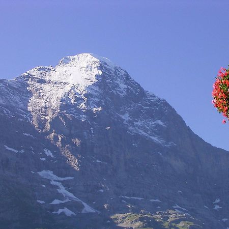 Hotel Bellary Grindelwald Exteriér fotografie