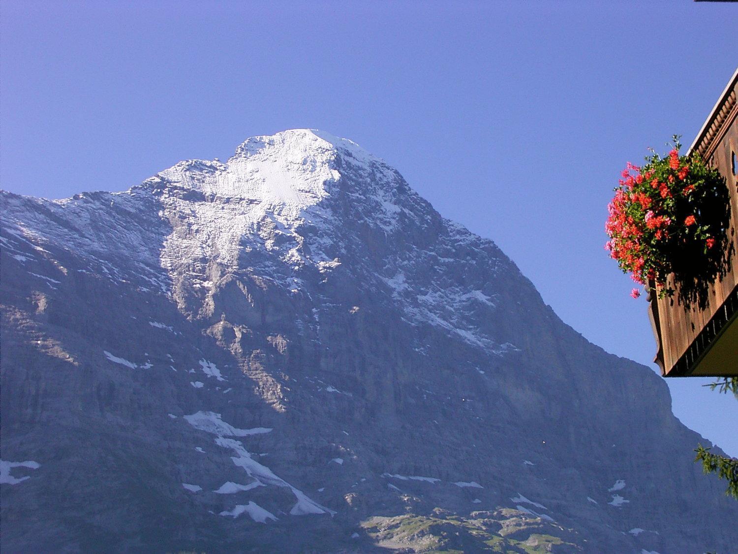 Hotel Bellary Grindelwald Exteriér fotografie